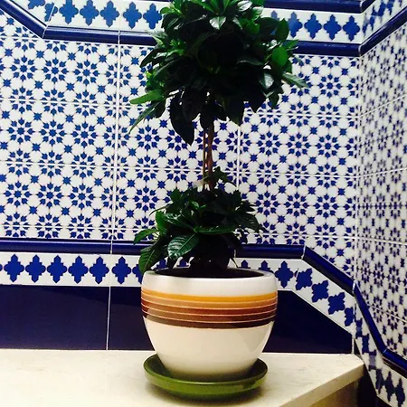 Acemar Vendégház 3*